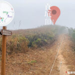 近在咫尺 • 直坑頂