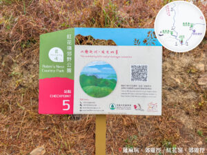 發現 • 紅花嶺《站點. 5》