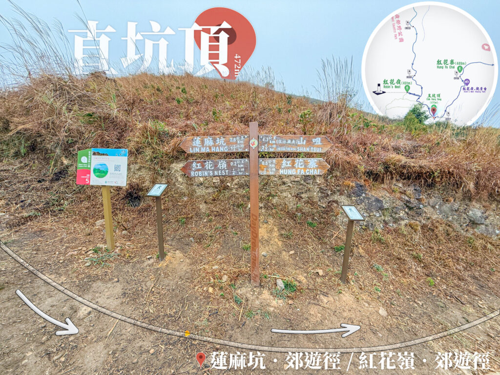 蓮麻坑 / 紅花嶺 • 郊遊徑《交滙點》【壹】