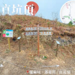 蓮麻坑 / 紅花嶺 • 郊遊徑《交滙點》【壹】