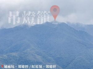 遠眺 • 吊燈籠