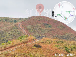 遠眺 • 紅花嶺觀景台