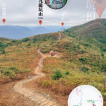 遠眺 • 吊燈籠 / 九龍坑山 / 龍山