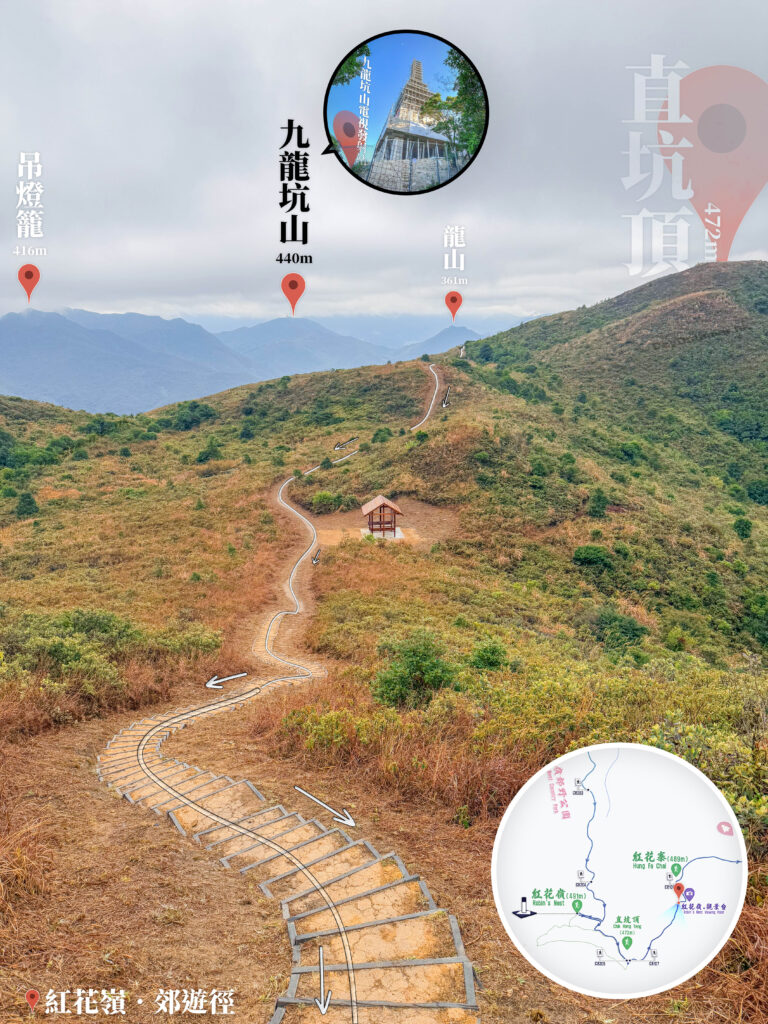 遠眺 • 吊燈籠 / 九龍坑山 / 龍山