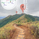 回望 • 紅花寨