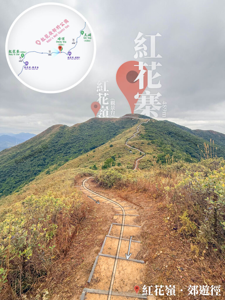 回望 • 紅花寨