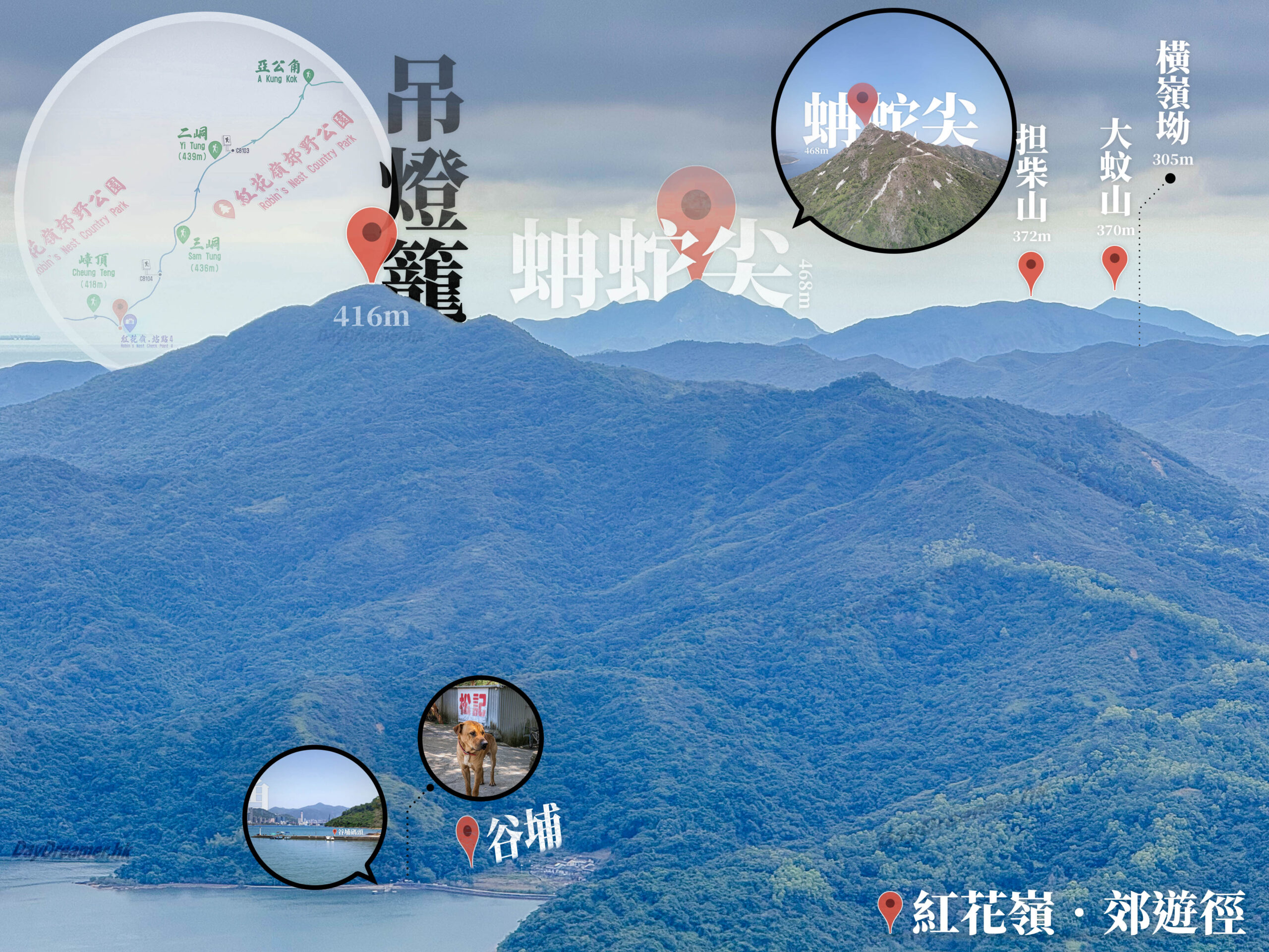 遠眺 • 吊燈籠 / 蚺蛇尖《叄》