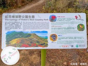 紅花嶺郊野公園生態《資訊牌》