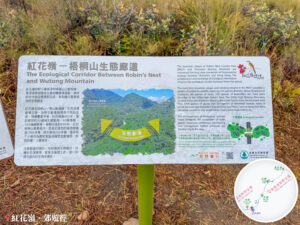 紅花嶺 一 梧桐山生態廊道《資訊牌》