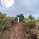 大自然手工 • 植物拱門《壹》