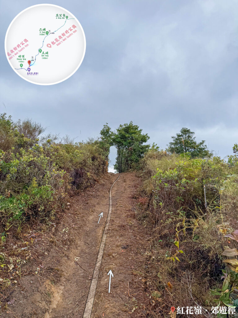 大自然手工 • 植物拱門《壹》