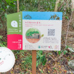 發現 • 紅花嶺《站點. 3》