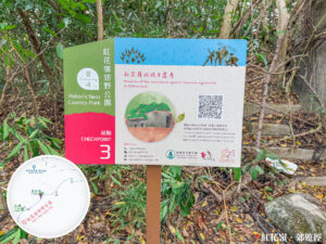 發現 • 紅花嶺《站點. 3》