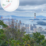 遠眺 • 吉澳 / 鴨洲《叄》