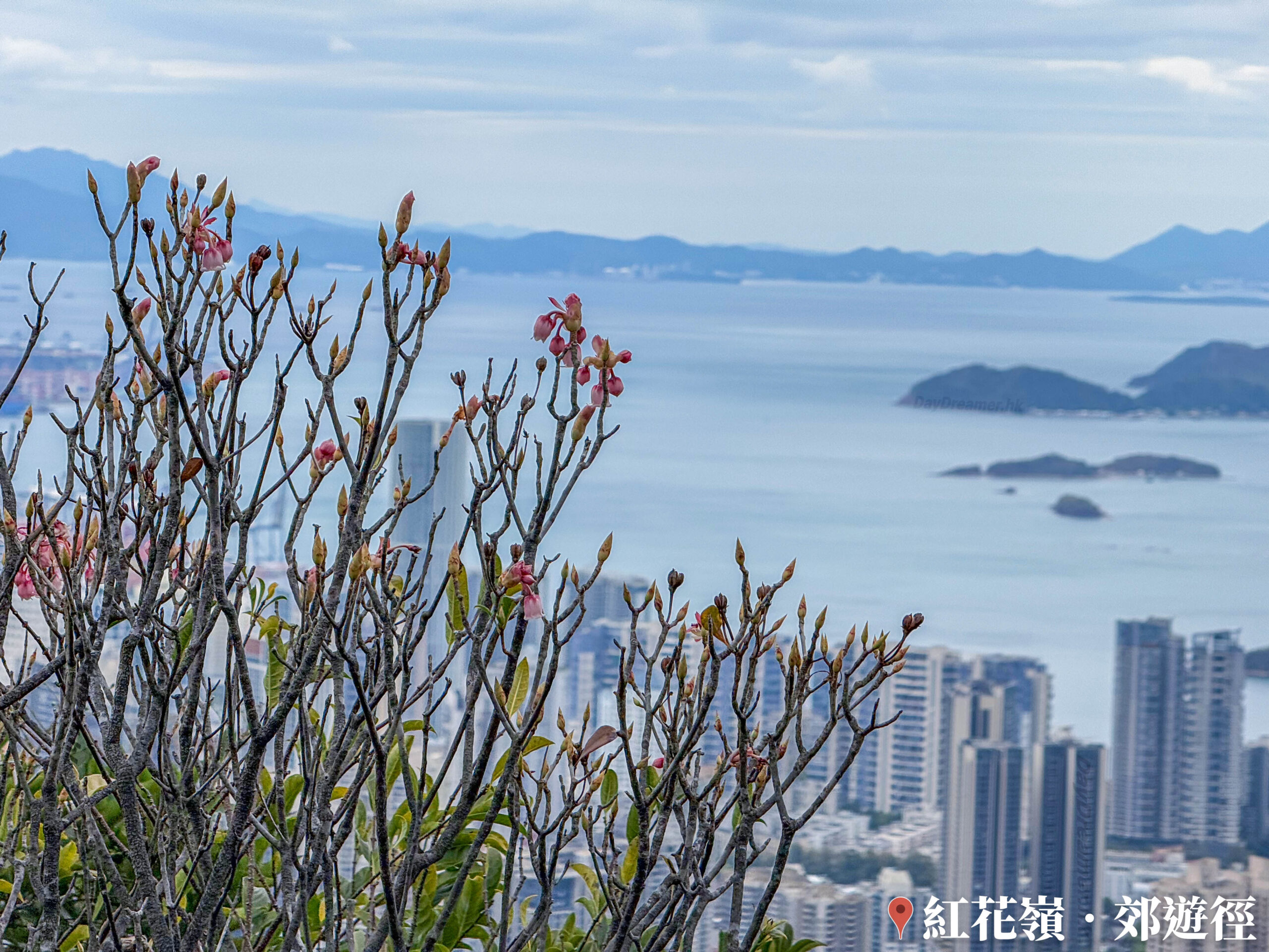 遠眺 • 吉澳 / 鴨洲《肆》