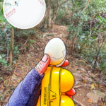 山中 • 啪雞蛋