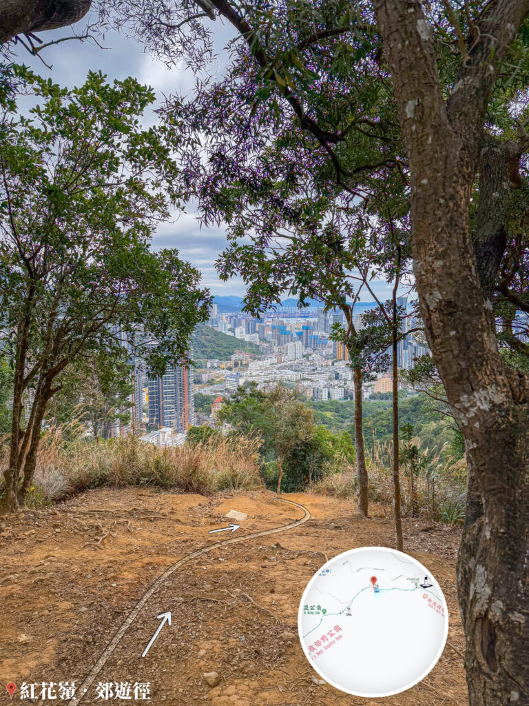 大自然手工 • 植物相框《壹》