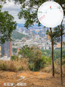 大自然手工 • 植物相框《貳》