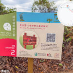 發現 • 紅花嶺《站點. 2》