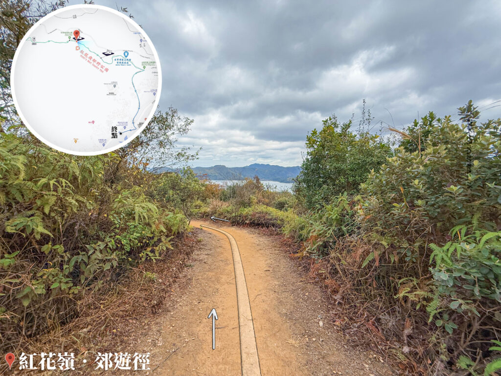 山路小徑《捌》