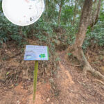 日軍 • 蓄水池