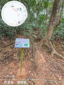 日軍 • 蓄水池