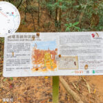 戰壕系統和武器坑《資訊牌》