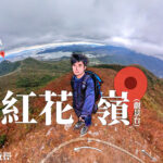 紅花嶺 • 觀景台《壹》
