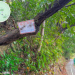 烏蛟騰 • 嶺背