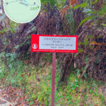 山泥傾瀉《告示牌🪧》