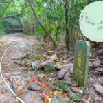 上苗田《路牌》