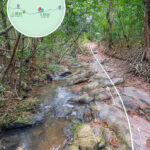 下苗田《路段｜壹》