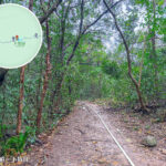 下苗田《路段｜貳》