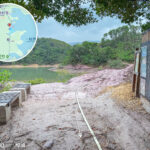 紅石地貌觀賞區《回望 • 紅樹林》