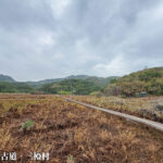 三椏村 • 步道《十字路口》