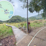 三椏村 • 步道《分岔口》