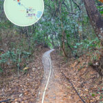 三椏村－荔枝窩《上坡路段》