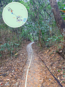 三椏村-荔枝窩《上坡路段》