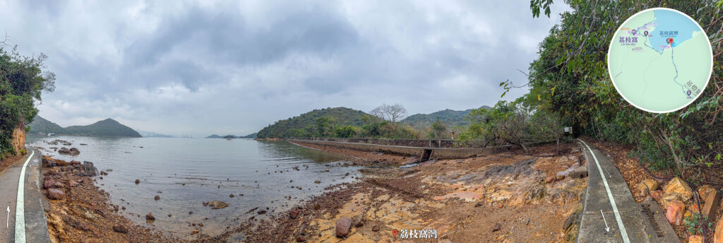 荔枝窩灣《全景》