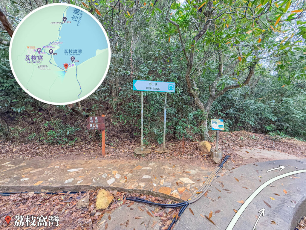 荔枝窩－哈塘《分岔口》