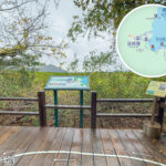 荔枝窩 • 自然步道