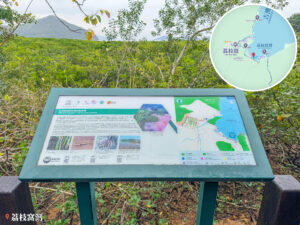 遊覽資訊牌《生機勃勃的紅樹林和泥灘》｜壹