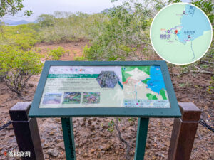 遊覽資訊牌《海水中的有花植物－短大葉藻》