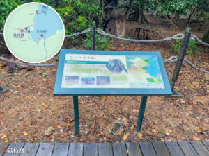 遊覽資訊牌《罕見的銀葉古林》