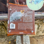 遊覽資訊牌《荔枝窩 • 廣場》