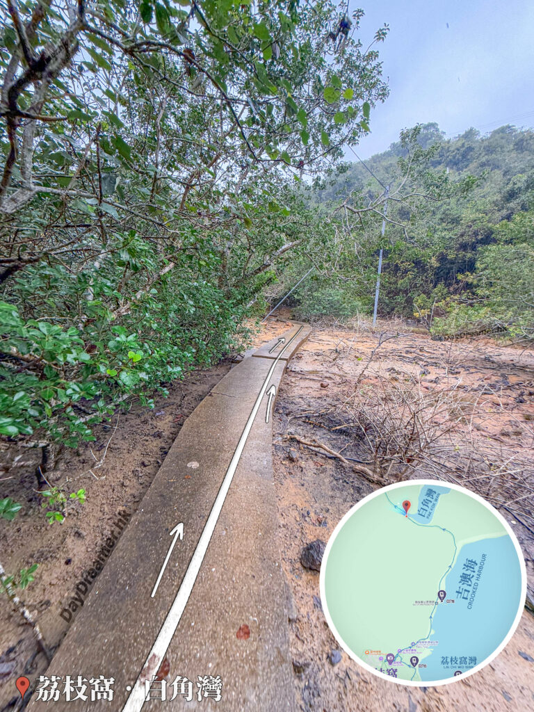 荔枝窩 • 白角灣