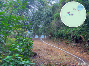 鎖羅盆村《綠色隧道》｜24mm