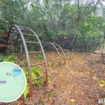 鎖羅盆村《遺留的遊樂場🎡》｜貳