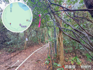 鎖羅盆－榕樹凹徑《2》