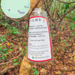 鎖羅盆－榕樹凹徑《2》｜小心蜂螫《告示牌》